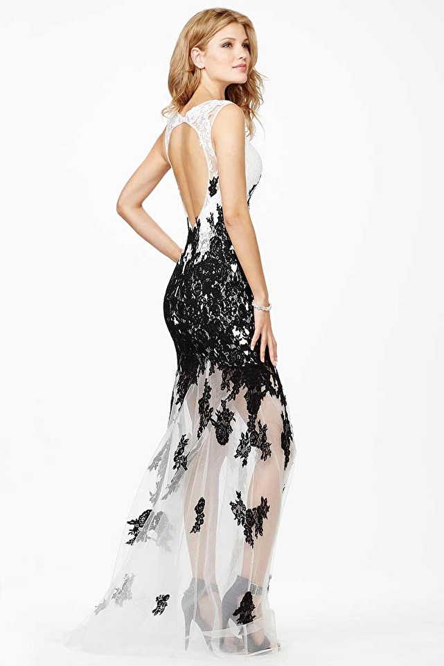 Lace Sleeveless Dress JVN26974